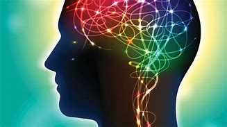 Mind (Mental Wellbeing): A silhouette of a head with vibrant, interconnected neural pathways representing mental activity and well-being.